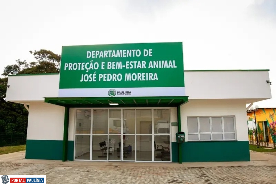 Prefeitura de Paulínia abre cadastro para protetores de animais e ONGs da causa animal