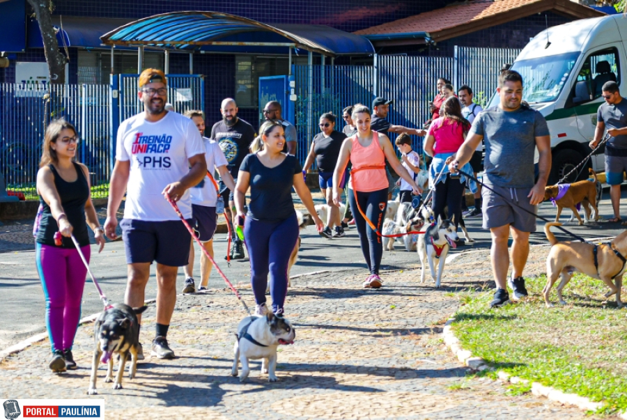 Paulínia Promove 'Cãominhada' Especial para Inauguração do Novo Espaço Pet na Câmara Municipal