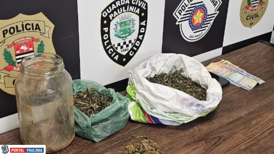 GCM de Paulínia Apreende Drogas Escondidas em Casinha de Cachorro no Bairro Vida Nova