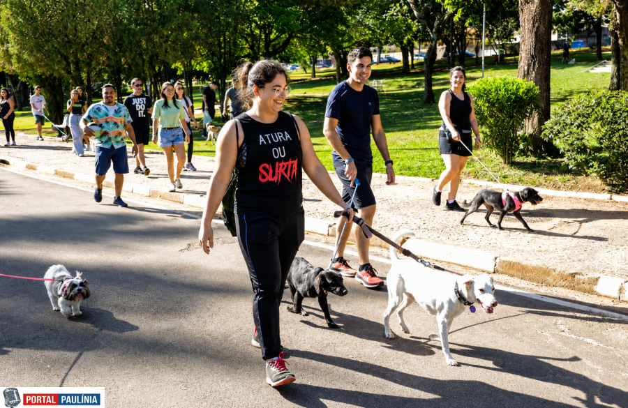 Cãominhada vira programa municipal em Paulínia: lei formaliza política pública de bem-estar animal