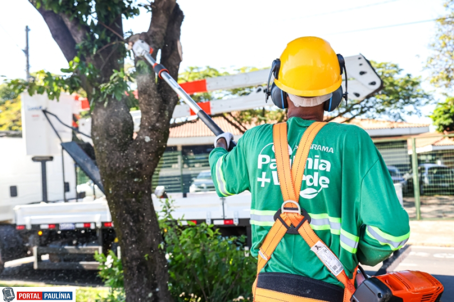 Paulínia + Verde completa primeiro mês com avanços em podas, segurança nos parques e metas sustentáveis